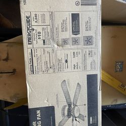 Fan