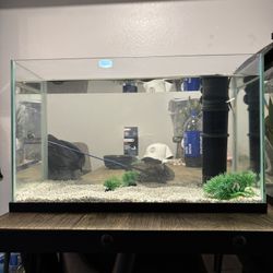 Fish tank
