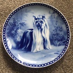 Handle Platte Yorkshire Terrier