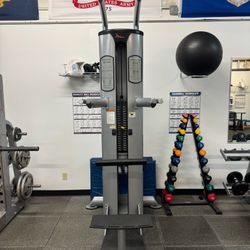 FreeMotion Epic Dip/Chin Assist Machine – Commercial Grade Gym Equipment 