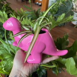 Dino Trex Planter 