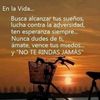 ventas sólo ventas 💯😃🐵🌷🌷🌷💐💐