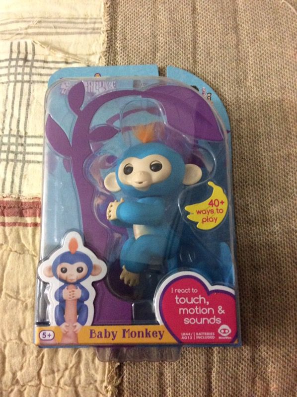 Fingerling baby monkey Boris