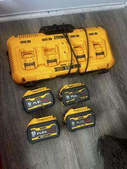Dewalt charger with batteries