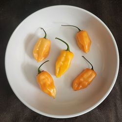 Extremely Rare Organic Solid Gold Ghost Pepper Seeds! 2026 SEASON EARLY RELEASE! 