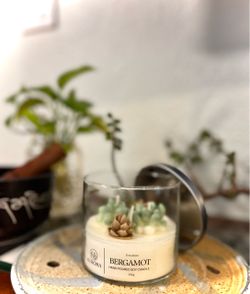 Terrarium Bergamot- Aurora candele