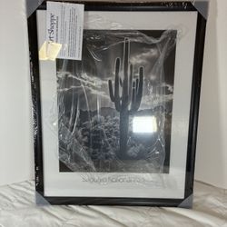 Saguaro National Park Framed Wall Art Black White Desert Cactus Print