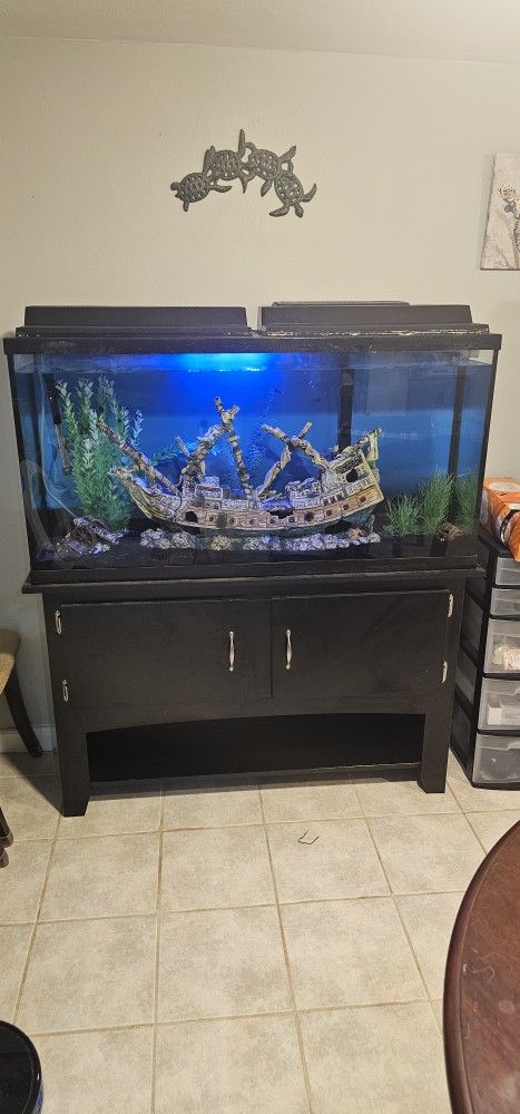 65gal Aquarium with Stand