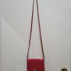 Aldo Sling Bag
