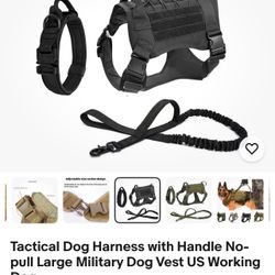 Dog Harness and Collar