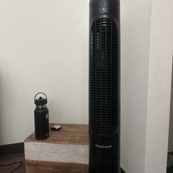 fan