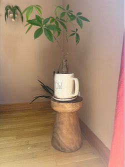 Money Tree