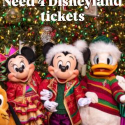 Disneyland Ticket Hoppers