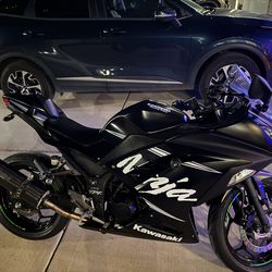 2017 Kawasaki ninja 300 abs winter test edition