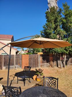 Large Umbrella & Stand