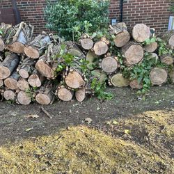 Free Firewood 