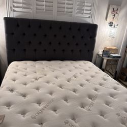 Living Spaces Cal King Bed Frame and Bases