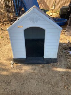 Dog House Large