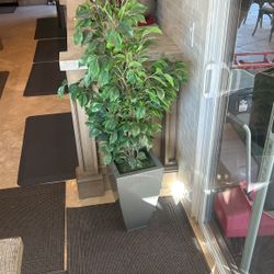 Artificial Plant