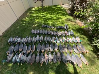 Duck Decoy Lot
