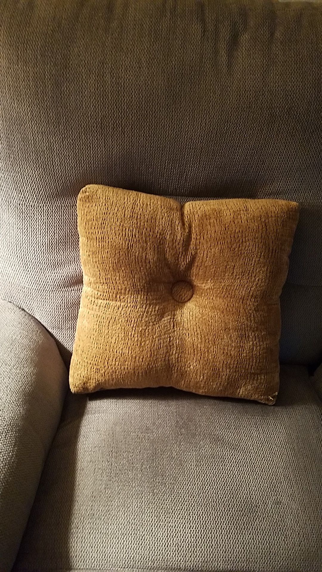 Beige Pillow Smoke and pet free home