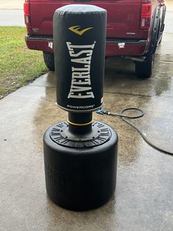 Punching Bag (Everlast Powercore)