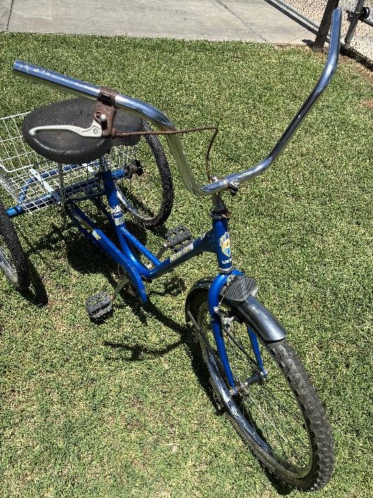 MIAMI SUN TRIKE