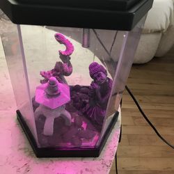 Top Fin 2 Gallon Aquarium 
