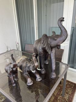 Elephant One Big Size Look For A Home New