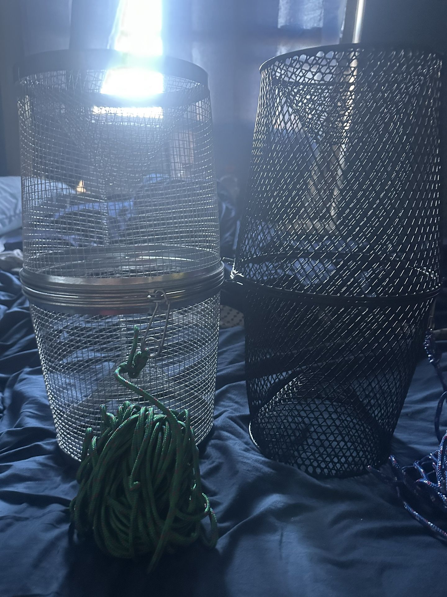 Fish Trap