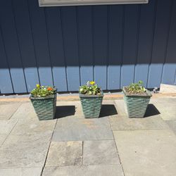 Flower Pots