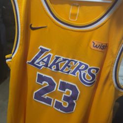 lakers james 23 jersey wish logo Size XL