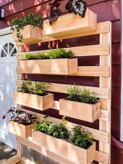 🌿 Custom Handcrafted Cedar Vertical Garden Wall