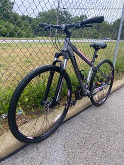 HIGH QUALITY : NISHIKI : HYBRID : MEDIUM