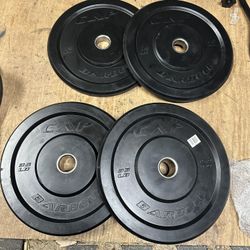 15 & 35lb Bumper Plates  