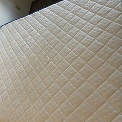 Brand new Queen bed and frame