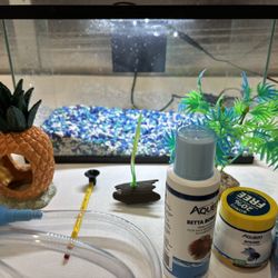5 Gallon aquarium 