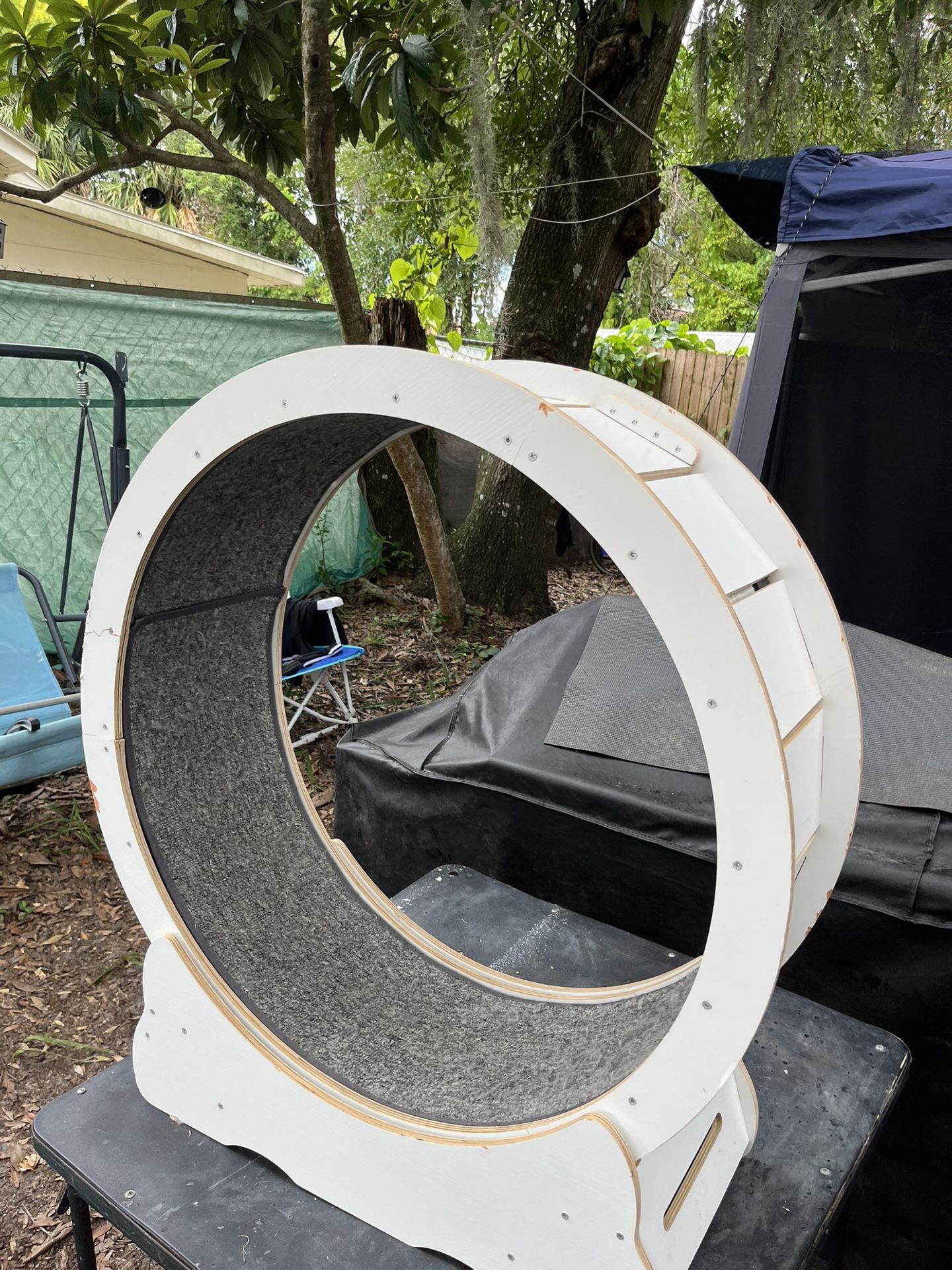 Cat Wheel