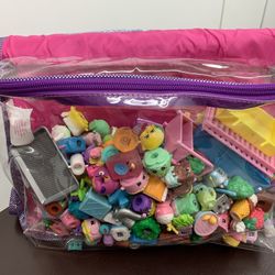 Shopkins Figures W/  Case