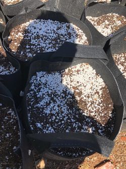 Grow bags filled with premium soil