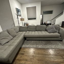 Large Sectional couch 