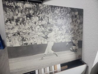 Ted Williams Canvas Poster
