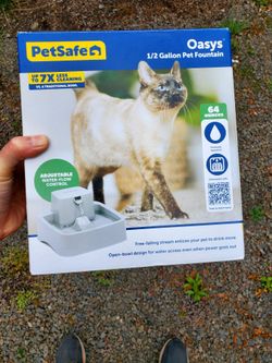 Cat Drinking Fountain