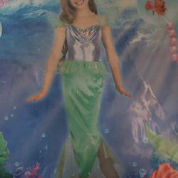 Halloween Little Mermaid Dress And Wig
