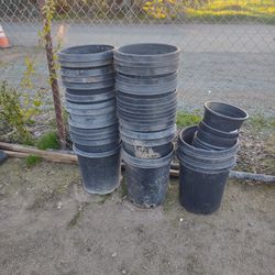 15 Gallon Reuseable Plant Pots In Really Good Condition