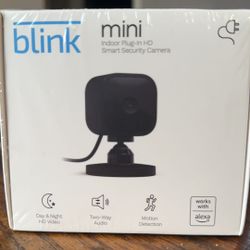 Blink Mini