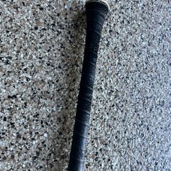 Bone Saber Baseball Bat 