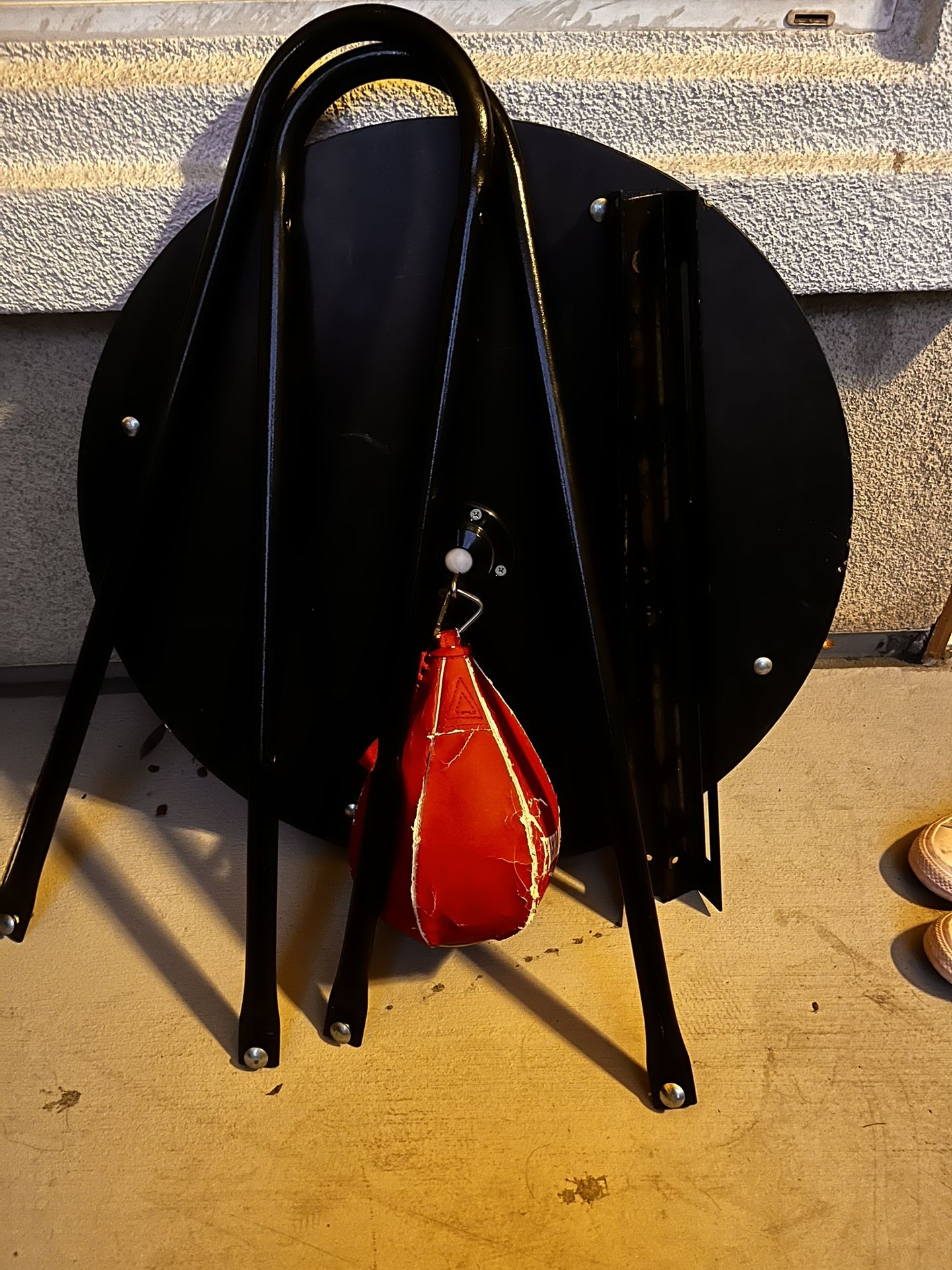 Speed Bag And Mount