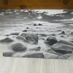 Ocean With Rocks Picture 