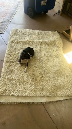 Textured cream 6x9 rug